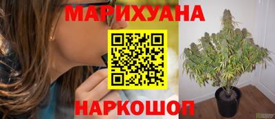 амф Тула